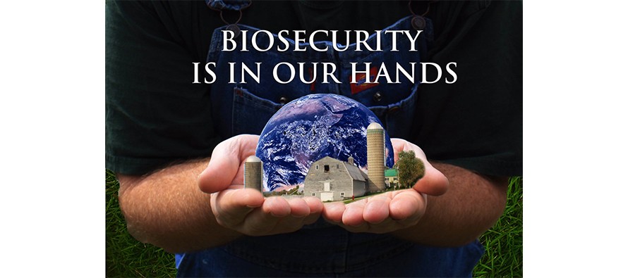 Biosecurity in our hands
