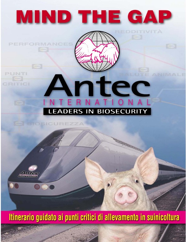 Mind The Gap: Antec International leaders in biosecurity. Itinerario guidato ai punti critici di allevamento in suinicoltura