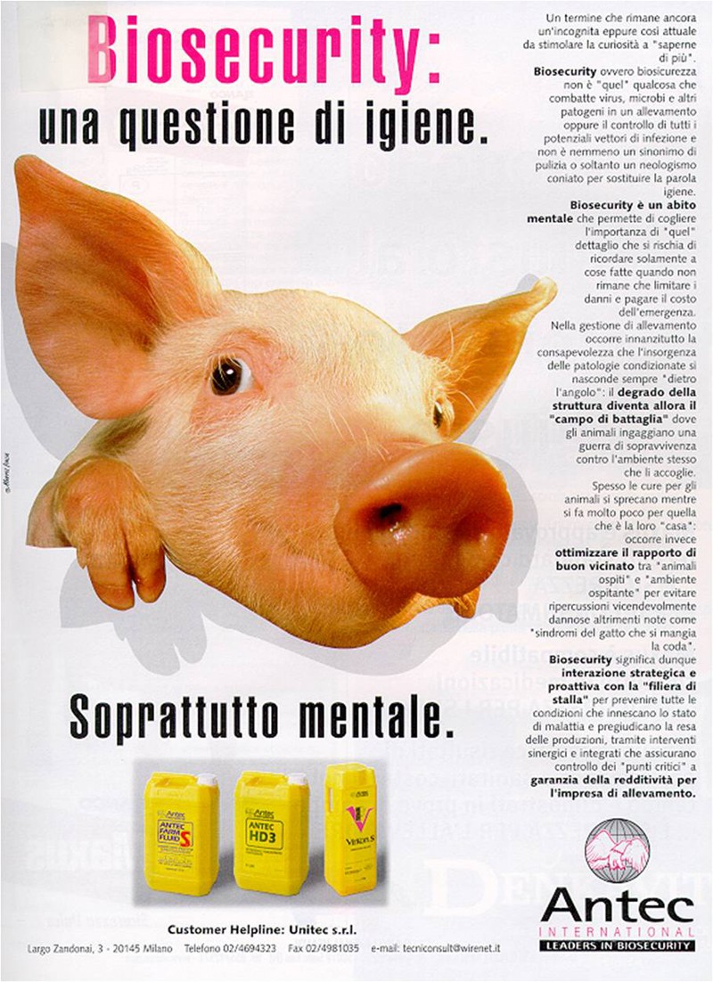 Biosecurity: una questione di igiene. Soprattutto mentale.