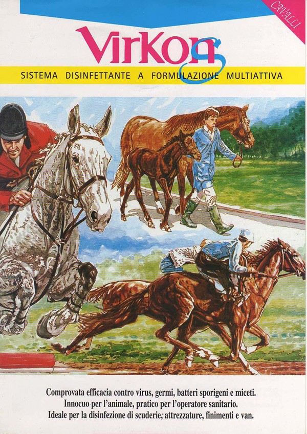 Virkon S Cavalli: efficace contro i virus, germi, batteri , sporigeni, miceti. Innocuo per l'animale, pratico per l'operatore sanitario.
