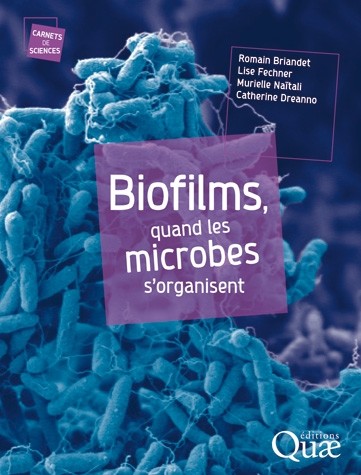 Biofilms, quand les microbes s'organisent