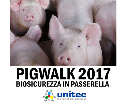 PigWalk2017
