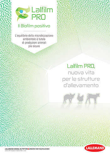 Lalfilm Pro - brochure