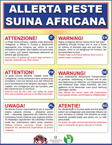 Peste Suina Africa - Poster e Locandine