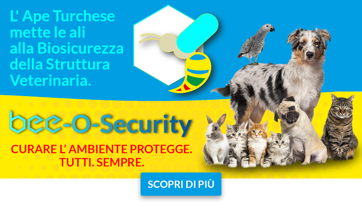 BEE-O-Security