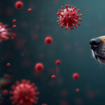 Allerta Parvovirus