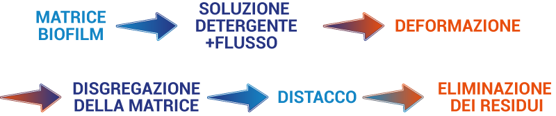 Biofilm sotto stress: perché alcune matrici aderiscono, si deformano e resistono al distacco