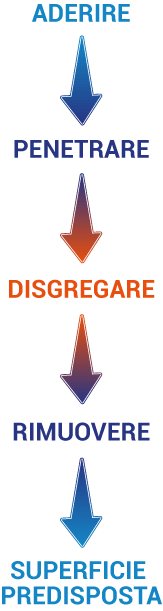 Reologia intelligente del detergente: dalla schiuma apparente alla resistenza reale del biofilm Reologia intelligente del detergente: dalla schiuma apparente alla resistenza reale del biofilm