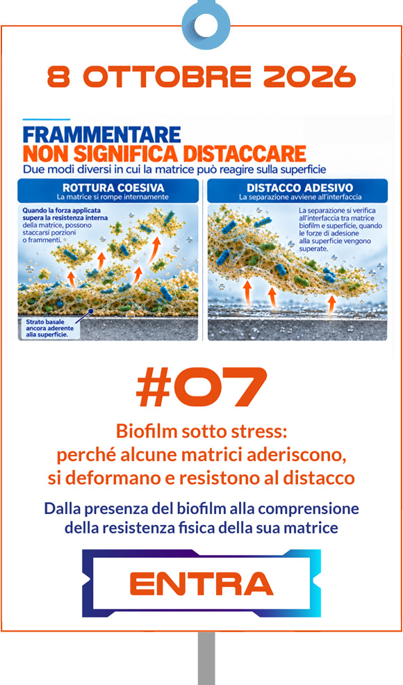 Biofilm sotto stress: perché alcune matrici aderiscono, si deformano e resistono al distacco